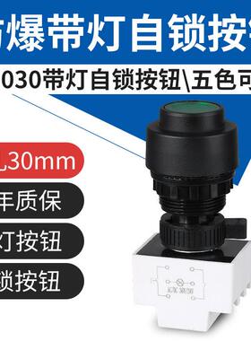 YH8030防爆自锁按钮塑料防腐带指示灯exd钻孔30mm控制启停开关ct6