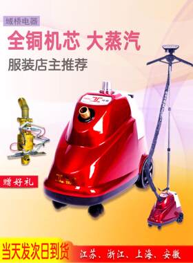 域桥蒸汽熨斗家用铜机芯服装店大功率熨烫机烫衣挂烫机立式烫挂机