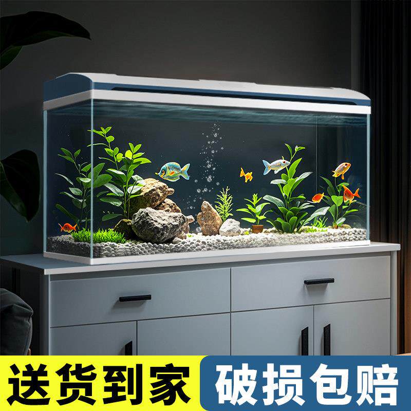 桌面智能家用超白玻璃鱼缸免换水客厅2025新款懒人过滤制氧一体机