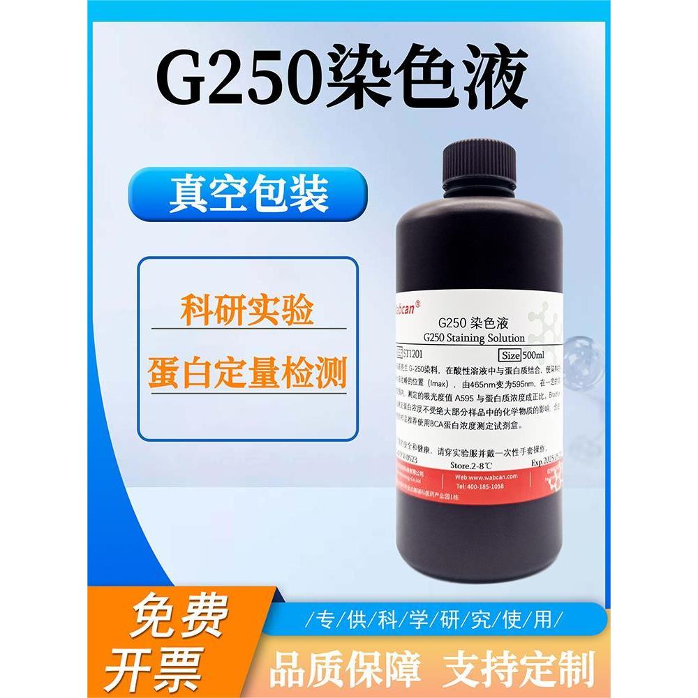 G250染色液考马斯亮蓝快速染色液脱色BSA牛血清白蛋白V蛋白质检测