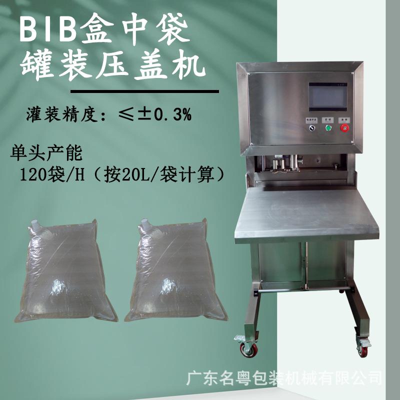 BIB无菌袋液体灌装机日化品洗护用品液体灌装机盒中袋灌装机
