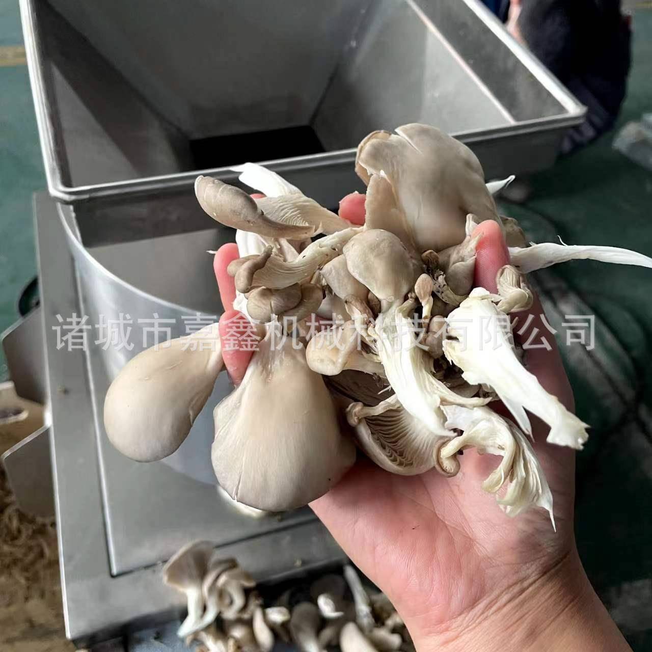 熟鸡肉打丝机肉制品打丝机鸡肉丝拆丝机免费试机