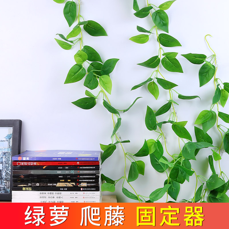 绿萝藤蔓自粘固定器绿植攀爬夹子无痕卡扣不伤墙挂钩家用电线收纳