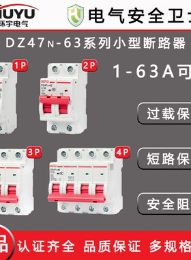 HUYU环宇启智DZ47N-63断路器1P小型家用2P空气开关3P微断家用电闸