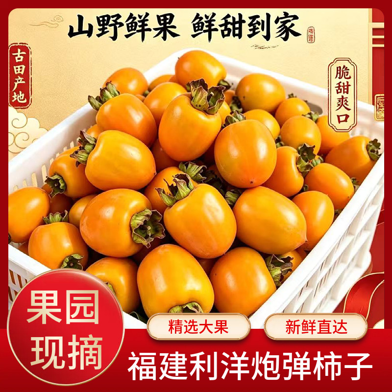 福建古田利洋黄金炮弹柿子冰糖心甜脆柿当应季新鲜水果现摘礼盒装
