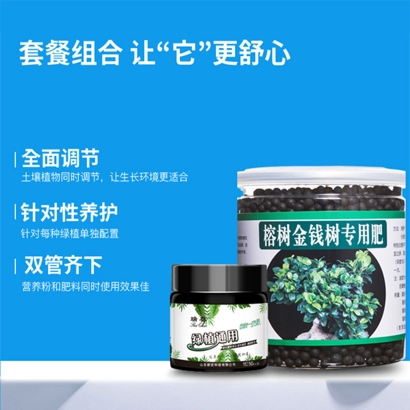 金钱树肥料专用肥养液室内专用肥料榕树肥料颗粒肥缓释肥效长盆栽