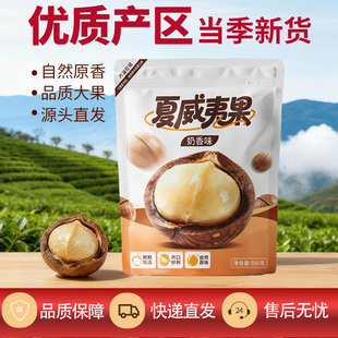 仁仁赞 大颗粒夏威夷果袋装奶油香味散干果孕妇休闲坚果零食500g