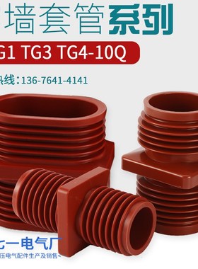高压中置柜TG3穿墙套管10KV环网柜母线环氧树脂套管TG4/100100