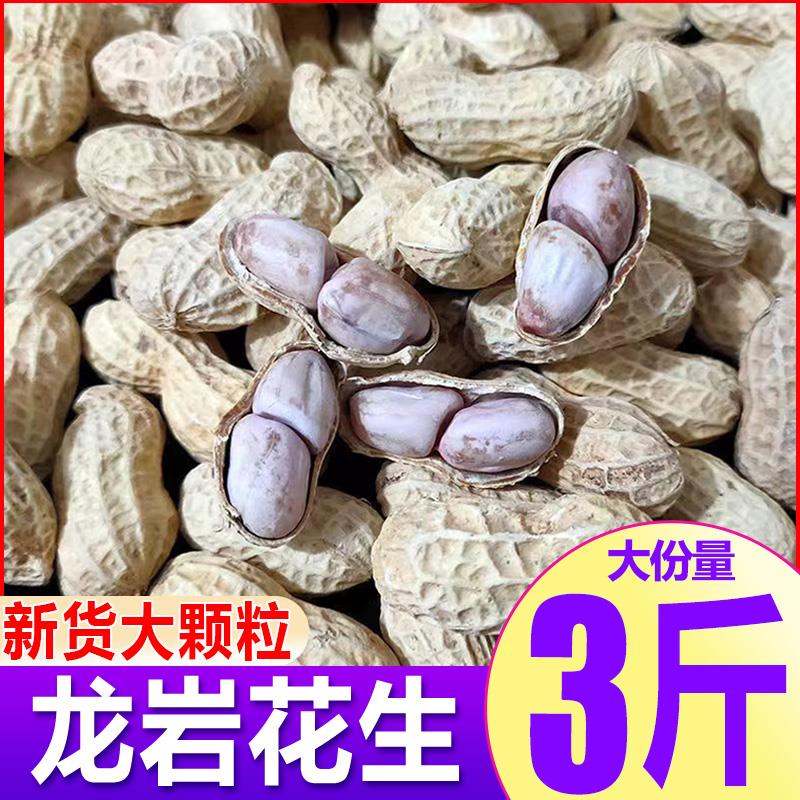福建龙岩花生带壳蒜香咸干五香原味盐水白晒水煮花生米熟炒货零食
