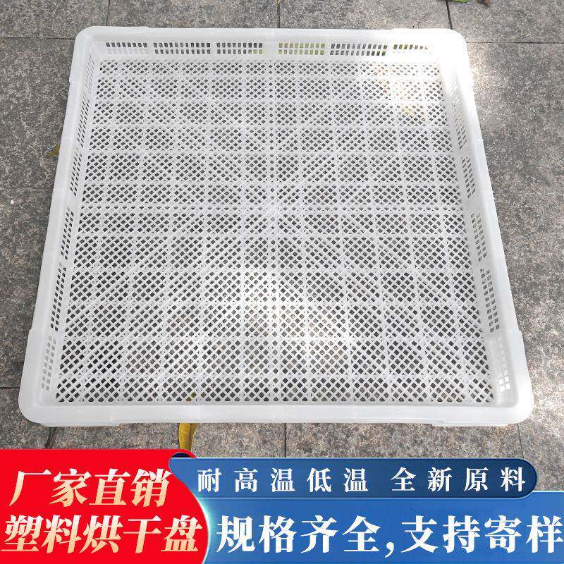 6.5*6.5*5.8塑料冷冻筐食品晾晒筛冷冻盘晾晒筐果蔬单冻烘干盘