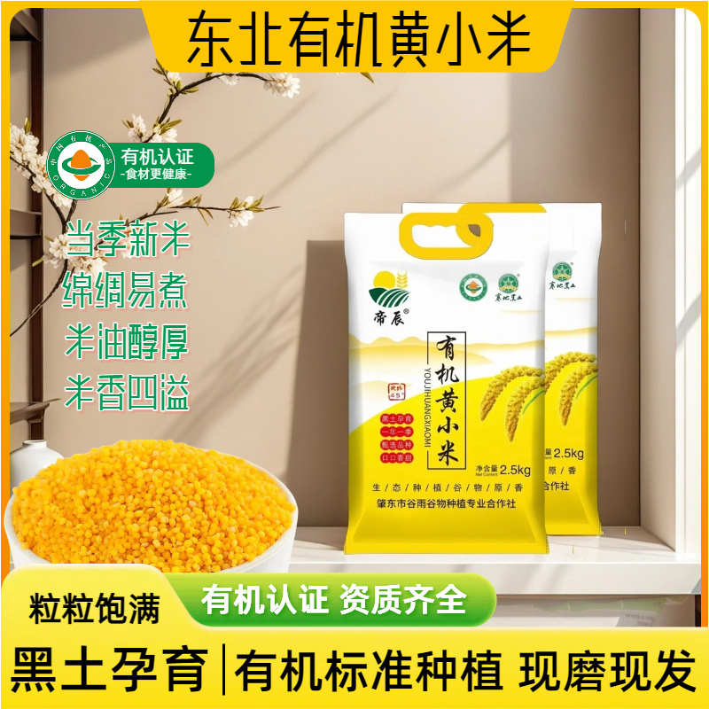 东北有机黄小米大金苗粥熬小米粥