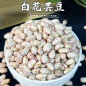 东北2025年新奶白花饭豆奶圆芸豆杂粮大碴粥豆包豆馅海伦大芸豆