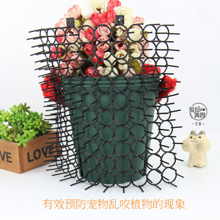 防宠物刺垫 保护植物防破坏 猫刺垫驱猫步道防猫爬抓踩踏防骚扰