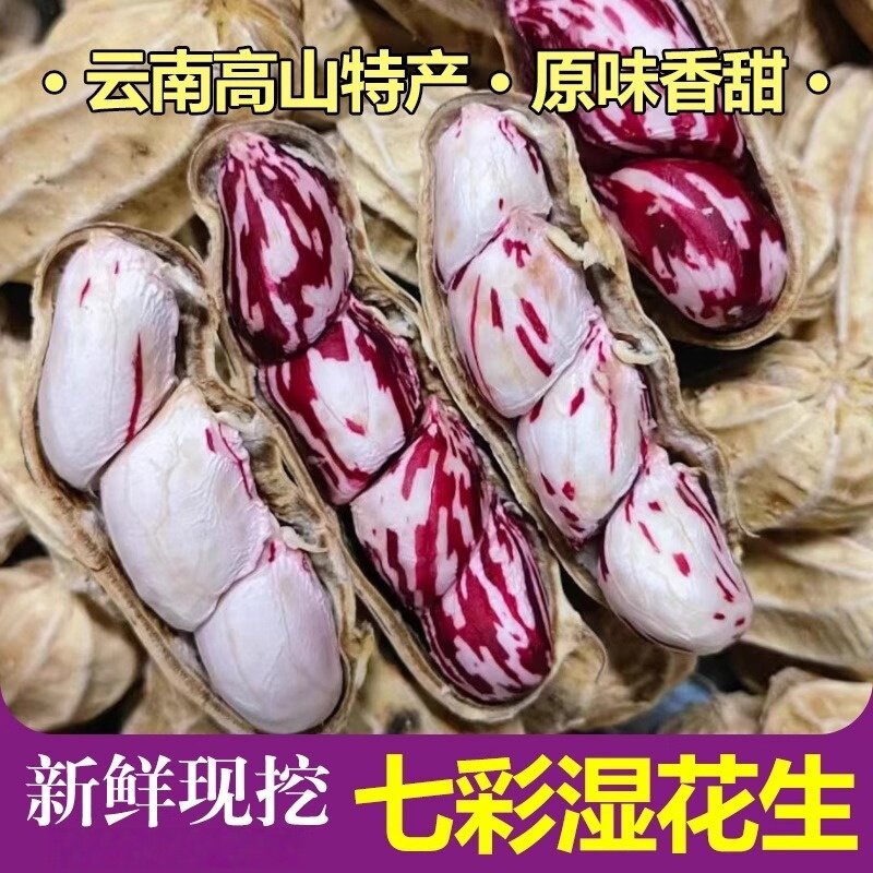 云南七彩花生带壳新鲜湿花生普洱特产花生米干货野地水果花生