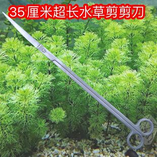 水族剪箱用修理长款 超长35cm水草剪子35厘米特大加长加厚款 工具