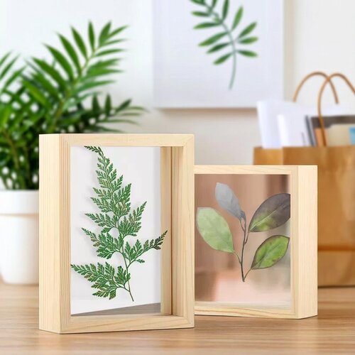 木质双面透明植物标本相框