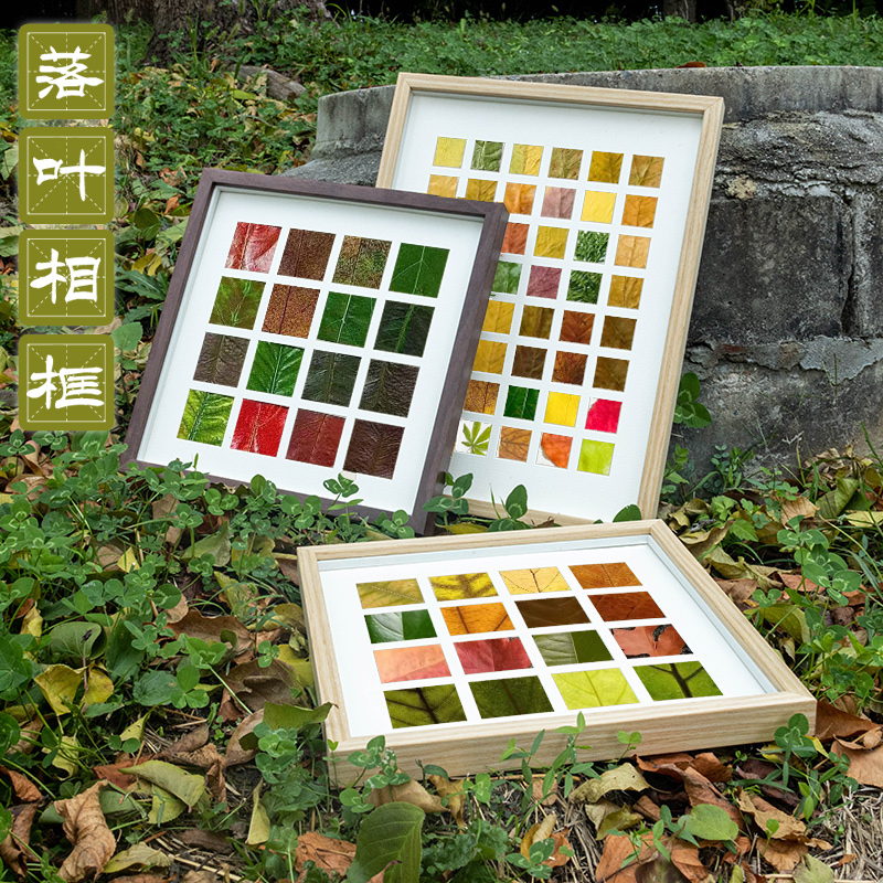 落叶树叶标本相框手工diy秋天叶子收集24宫格画框装饰画桌面摆件图片