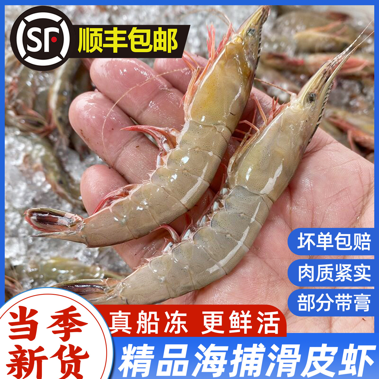 舟山海捕滑皮虾青壳大海虾海捕虾鲜活速冻新鲜条虾金钩呛大活皮虾,水产肉类/新鲜蔬果/熟食,冻虾,淘宝优惠券,粉丝福利购,淘宝优惠卷