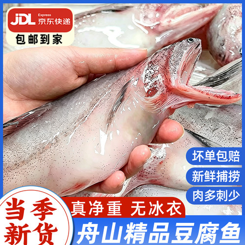 精品大号豆腐鱼净重无冰衣