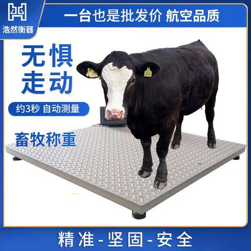 南京不锈钢型电子小型磅秤物流电子秤1吨2吨吨称猪牛畜牧地磅秤