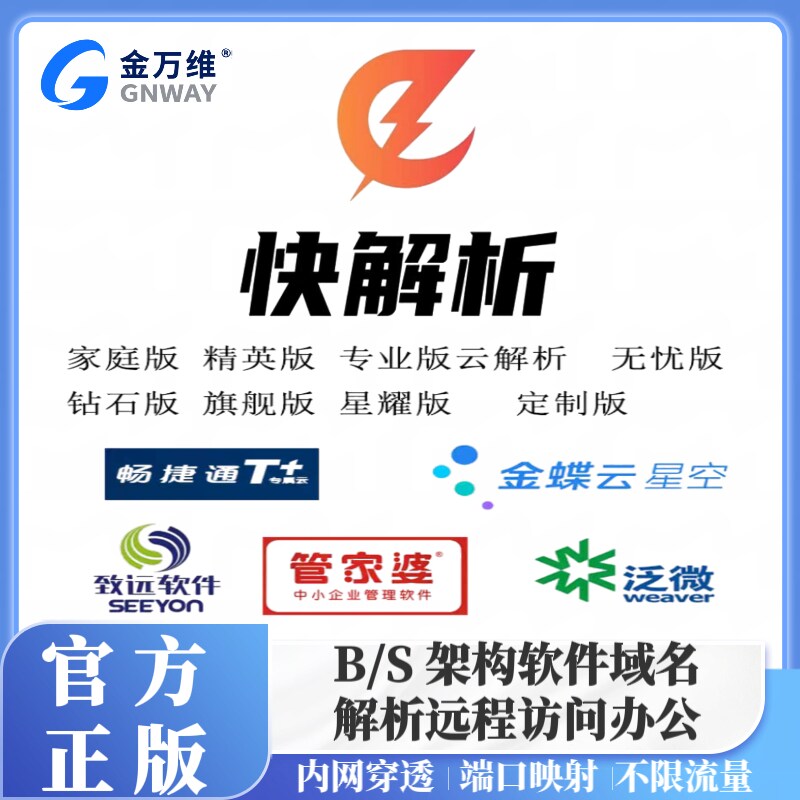 金万维快解析专业版穿透内网端口映射金蝶云星空用友T+域名解析图片