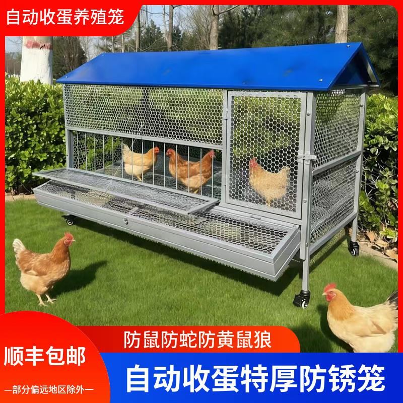 鸡笼子家用室外防雨自动收蛋防啄防黄鼠狼防鼠加厚不锈下蛋养殖笼
