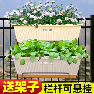 阳台种菜专用盆长方形塑料花盆草莓盆栽种葱长条种植箱家用 新款