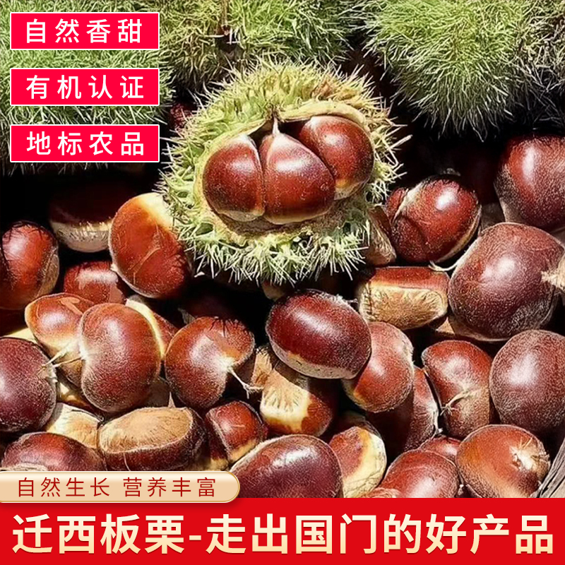 河北燕山新鲜板栗生栗子大果5斤糖炒蒸煮粉糯甘甜速发