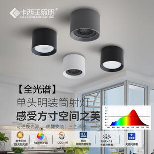 筒灯 极简客厅无主灯照明家用GX53客厅玄关过道吸顶射灯全光谱明装