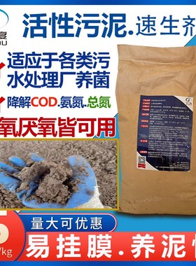 甘度活性污泥菌种活性菌促生长剂好氧厌氧污泥菌污水处理污泥培养