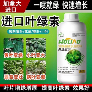 进口叶绿素叶面肥弱苗黄叶一喷绿水溶肥料瓜果蔬菜叶面增绿增厚