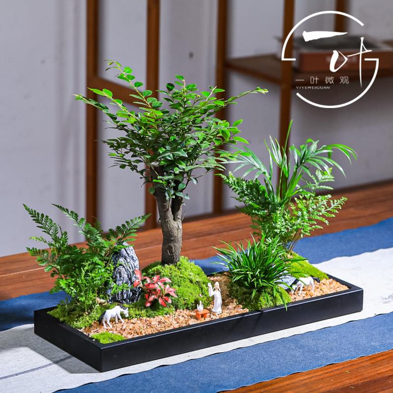 小叶紫檀黑骨茶老桩禅意微景观室内办公室花卉绿植物盆景盆栽