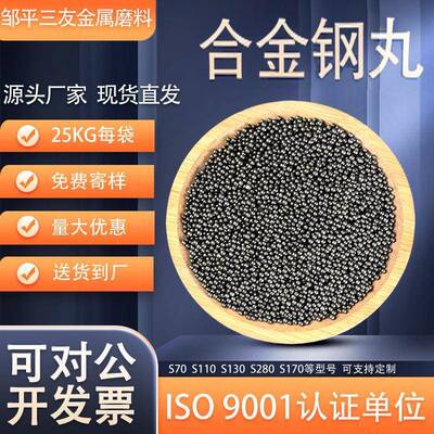 S780合金钢丸2.5MM抛丸机小型铸钢除锈用人造磨料加工铸钢丸喷砂