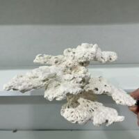 海之皇 陶瓷高透水悬浮海缸造景装饰鱼缸摆件免暴藻死石珊瑚造景