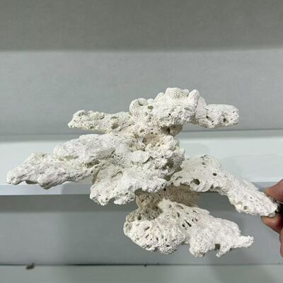 海之皇 陶瓷高透水悬浮海缸造景装饰鱼缸摆件免暴藻死石珊瑚造景
