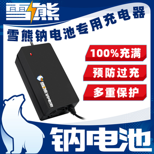 雪熊钠离子电池充电器电动车充电器12v24v36v48v60v72v各种容量