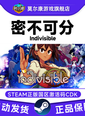 PC中文Steam 密不可分 Indivisible 角色扮演 国区激活码CDKey