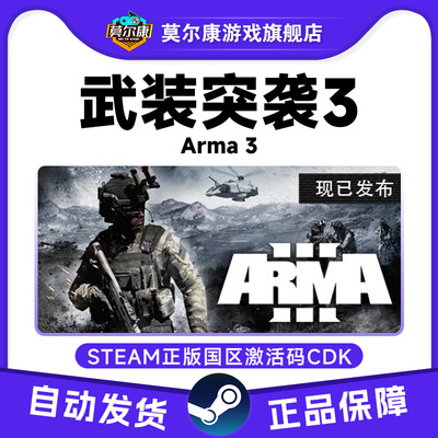 Steam 武装突袭3 Arma 3 国区 激活码cdkey 正版游戏