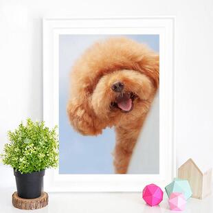 钻石画2025新款卡通动物泰迪犬小狗5d点钻十字绣儿童卧室简单满钻