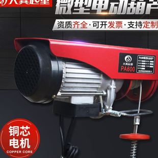 修家用小型吊机钢丝绳220v上料机提升机微型电动葫芦 包邮 装