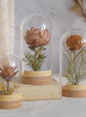 复古植物标本摆件向日葵玻璃罩微景观创意生日礼物书架装饰送老师