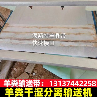 羊粪输送机网带养殖场全自动清粪机兔粪羊粪干湿分离传送带清理机