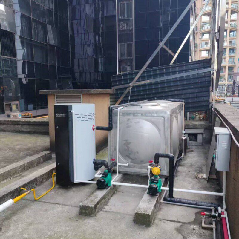 别墅家用容积燃气热水器酒店宾馆理发店商用洗浴供暖小型热水锅炉