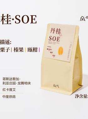 风气咖啡 丹桂SOE中烘高甜意式浓郁哥斯达黎加白蜜处理咖啡豆200g