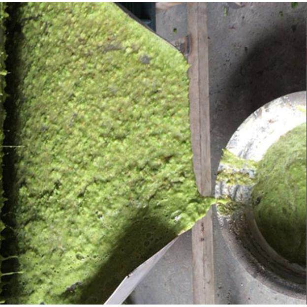 螺旋式芦笋青菜榨汁机桂圆去核果肉分离机芒果红枣去核打浆机