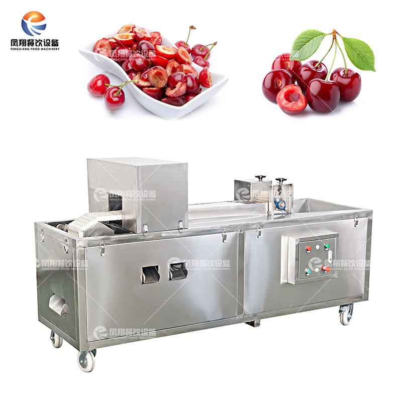 重庆 全自动樱桃去核机李子蓝莓杨梅取核果核大型分离去核机
