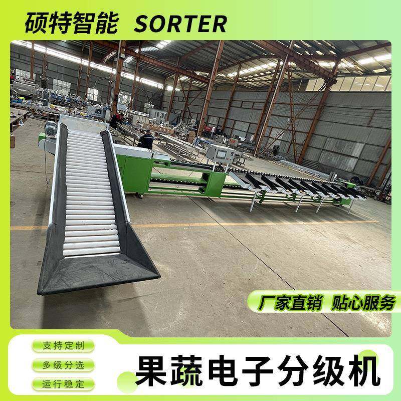 番茄多级称重分选机水果重量分拣机花斑果外观检测选果机,清洗/食品/商业设备,肉制品加工设备,淘宝优惠券,粉丝福利购,淘宝优惠卷