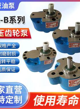 CB-B2.5/B4/B6/B10/B16/B20/B25/B32/40/63/50/100/125F齿轮泵TH