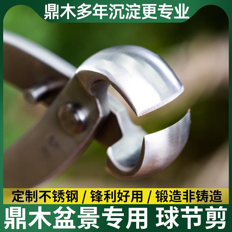盆景修剪造型专用工具制作花艺剪不锈钢球形球型钳枝剪刀球节剪枝