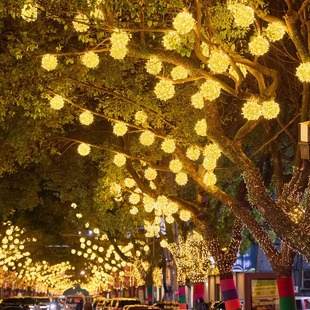 led春节亮化藤球灯户外防水圆球彩灯满天星工程树木挂件节日彩灯